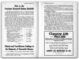 1966 Page 30 31